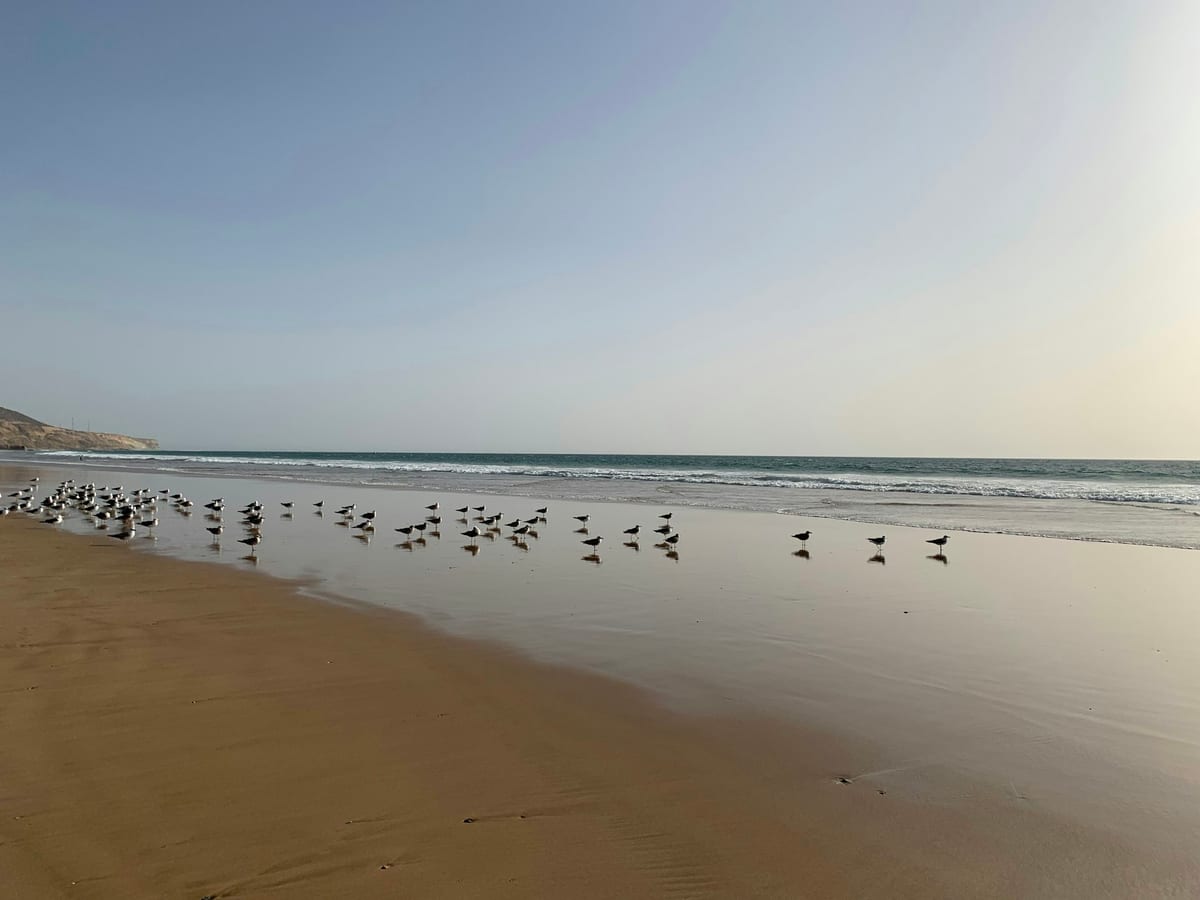 Rejse til Agadir, Marokko