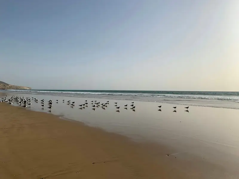 Rejse til Agadir, Marokko