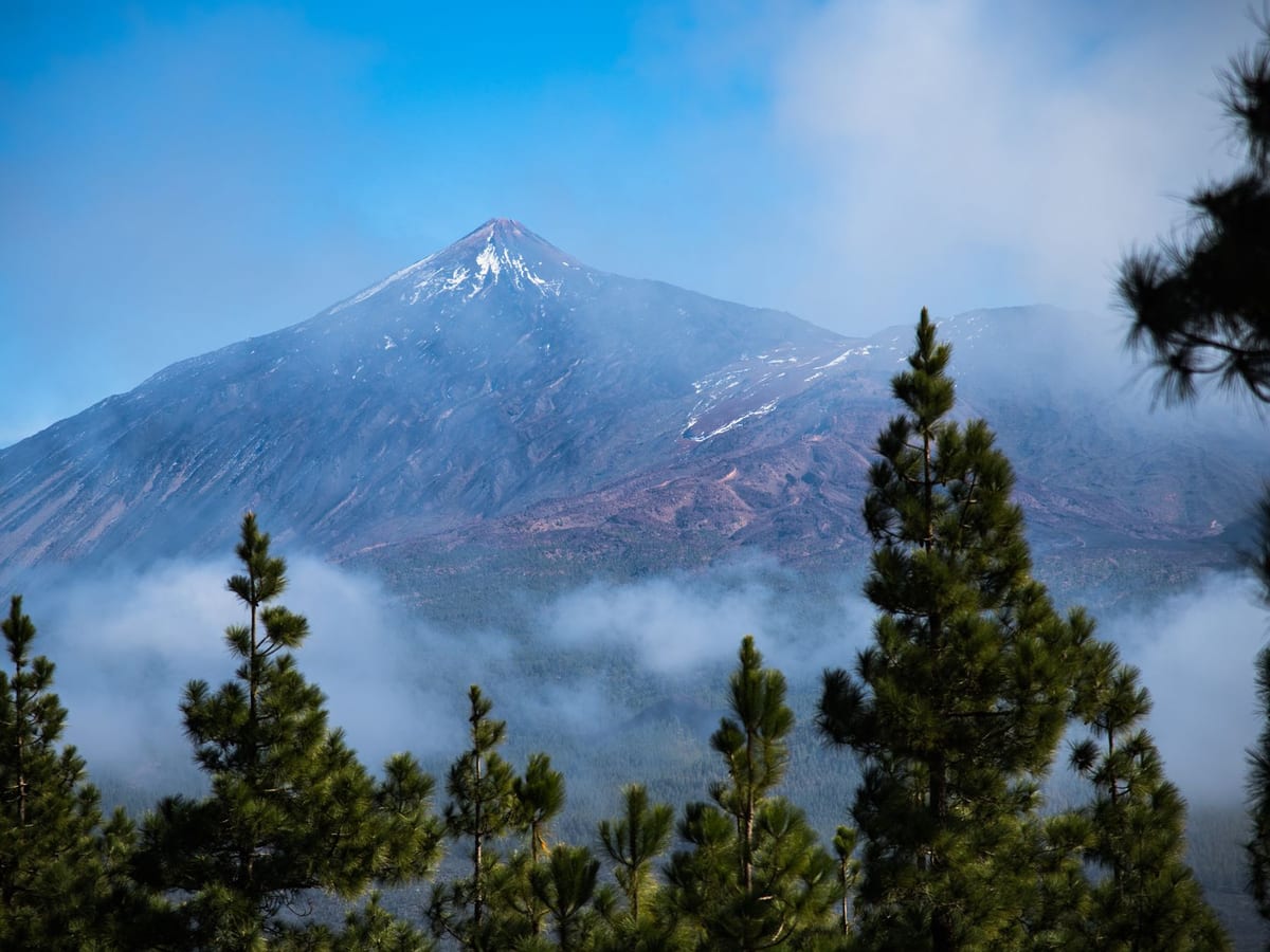 Rejse til Tenerife, Spanien
